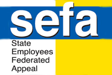 SEFA Campaign Results Shared