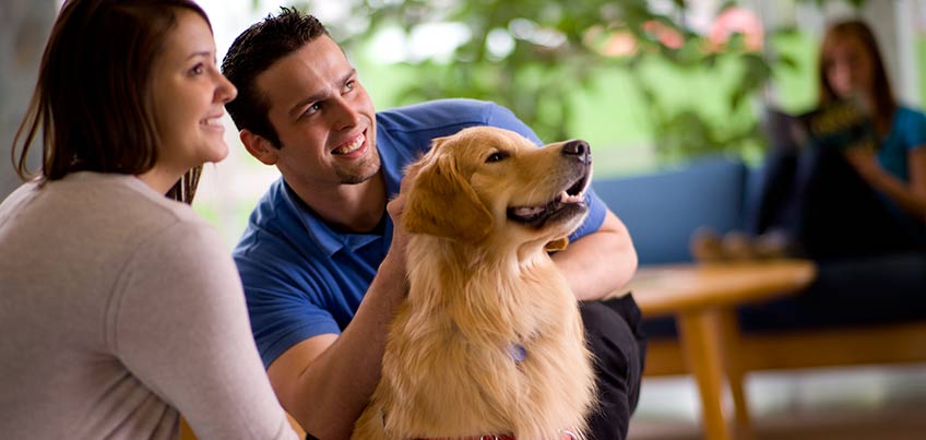 Academic Support and Acheivement Program dogs relieve stress