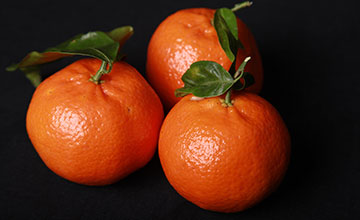 Clementines_citrus_WEB.jpg