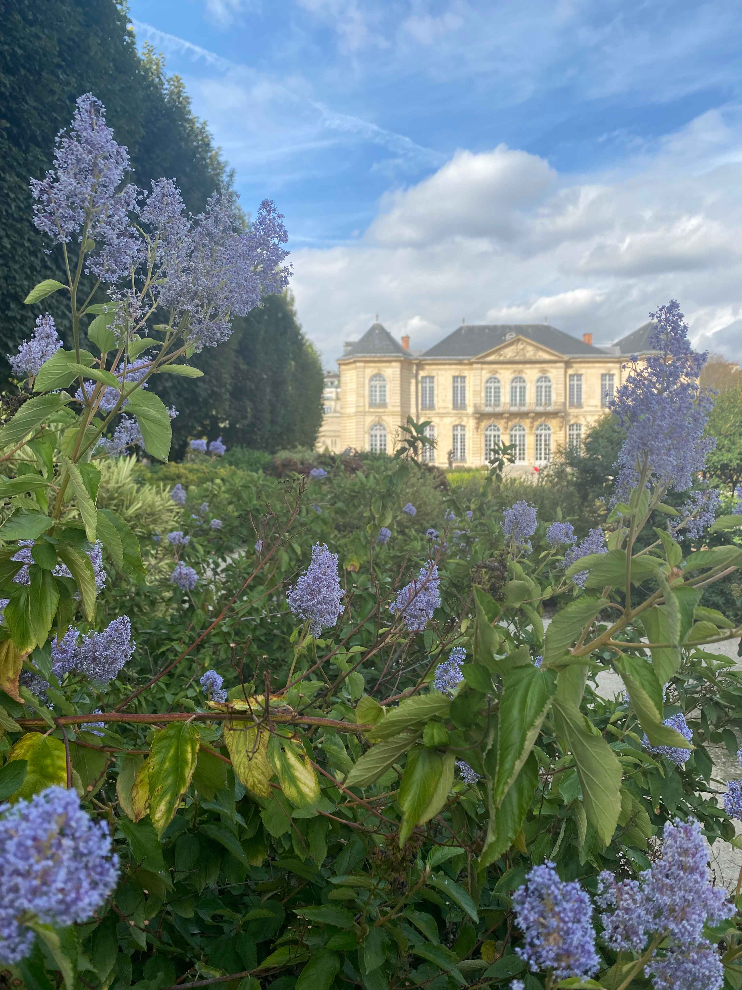 Musée Rodin du Jardin pictured behind flowers