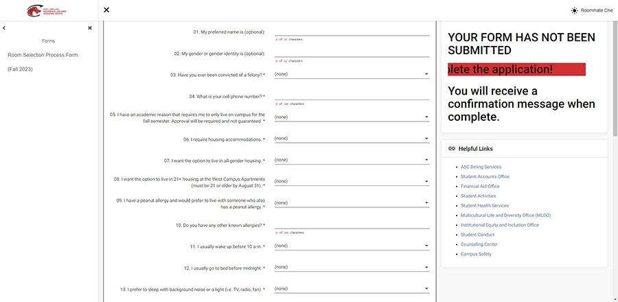 Screenshot showing questionnaire on Red Dragon site