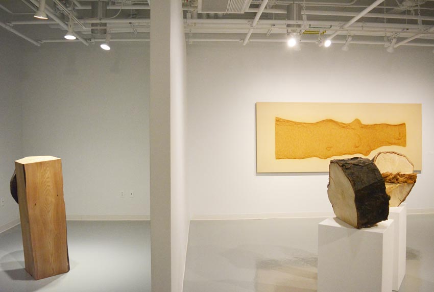 View into the east gallery at Dowd Gallery featuring three objects produced by Ithaca-based sculptor Jack Elliott.