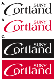 Acceptable logo variations