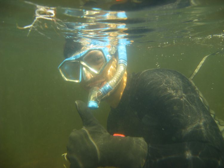 Quintin Casella underwater