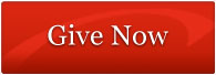 Give Now Button