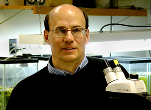 Dr. Rivest