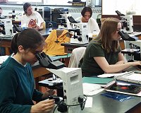 Students in Biology 201 lab