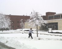 winter2.jpg (7512 bytes)