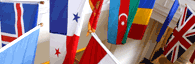 Flags