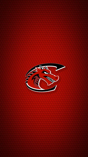 Phone wallpaper with secondary logo