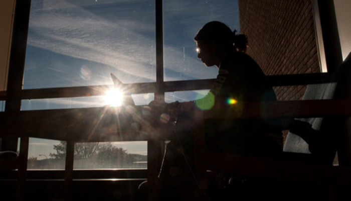 Memorial Library sunset