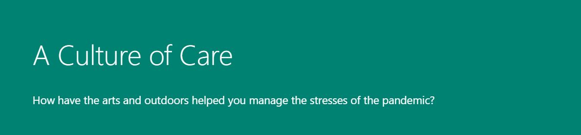 Screenshot of form header. Text in image: "A Culture of Care | How have the arts and outdoors helped you manage the stresses of the pandemic?