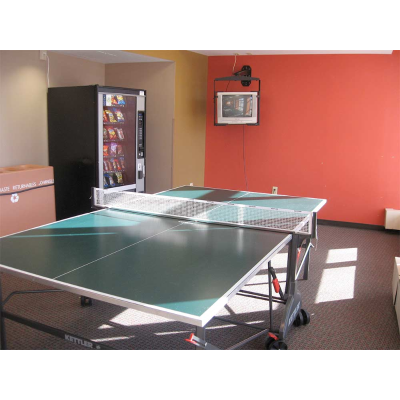 Rec Lounge Ping Pong