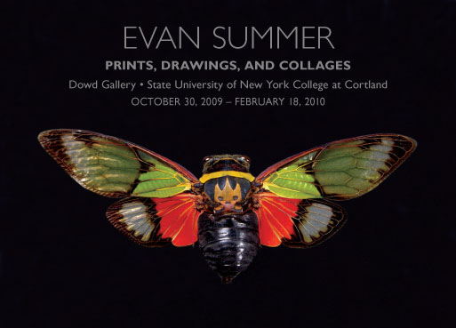 International Artist Evan Summer Exhibit at Dowd Gallery Through Feb. 18