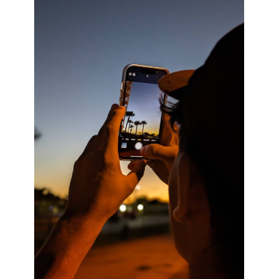 Luca Bultmann Palms in another frame