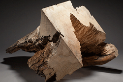 Tree artist Jack Elliott to exhibit at Dowd Gallery