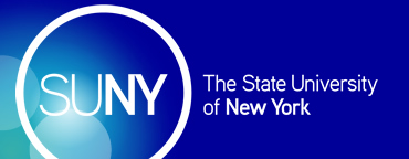 Four Scholars Honored by SUNY Chancellor