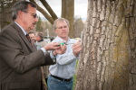 “Lofty Elm” Highlights Arbor Day Event