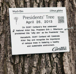 Campus Named ‘Tree Campus USA’