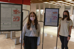 Biochemistry posters on display in Memorial Library