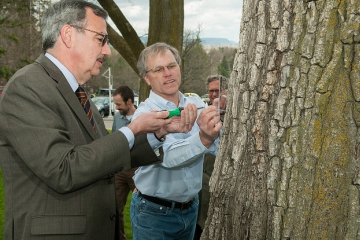 SUNY Cortland Speaks for the Trees in Arbor Day Celebrations