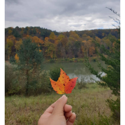 Shreya Dhital Fallen