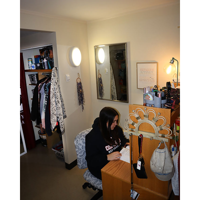 Bedroom desk and closet