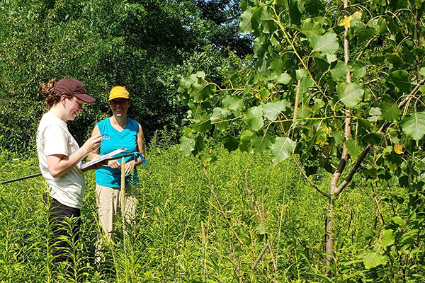 Biology professor honored for invasive species study