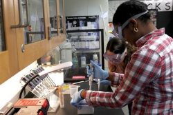NSF Grant Supports Pollutant-Digesting Bacteria Research for Undergraduates
