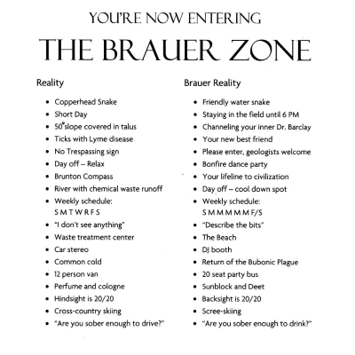 The Brauer Zone