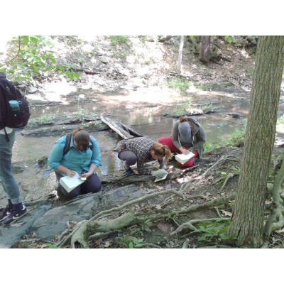 Diligently recording bedding orientation
