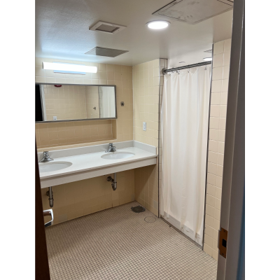 Suite Sinks and Shower