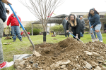 Campus to celebrate Arbor Day