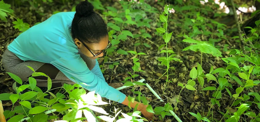 Environmental Science