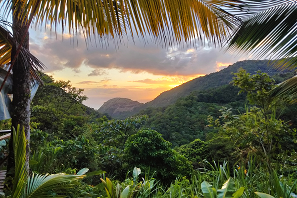 Students discover a different world in Dominica