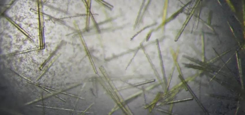 A picture of protein crystals.