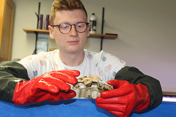 Student researches how microplastic pollution impacts oysters
