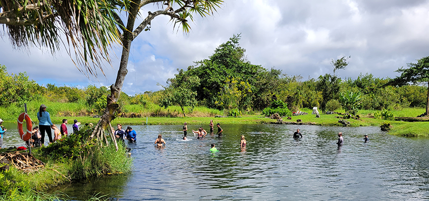 Students in ecotourism recreation course enjoy a swim in a body of water in Hawaii