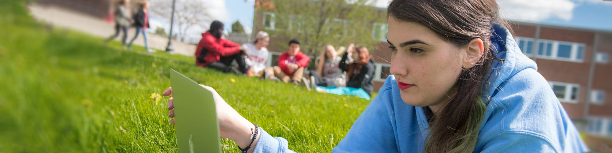Student uses a laptop computer on the lawn outside of Van Hoesen Hall with other students in the background.