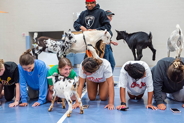Goat-Yoga-Bulletin.jpg