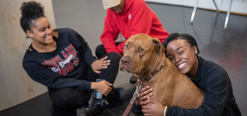 Student hugging a dog during Paws for Stress while others watch