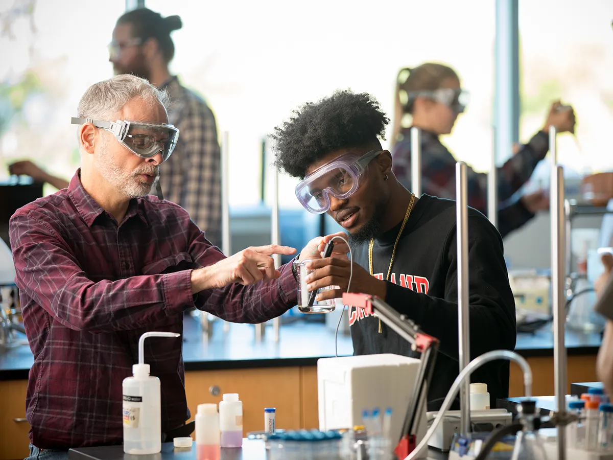 Professor Rossi and a student inspecting a readout on scientific equipment in a beaker of fluid.