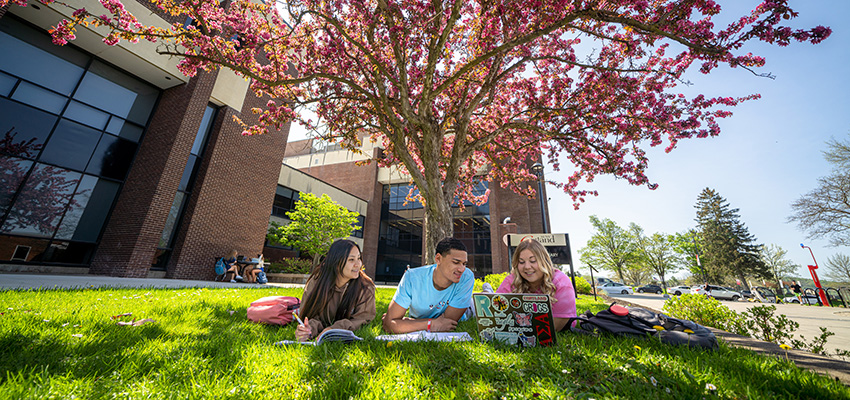 Students studying outside the library in the spring