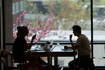 Students-working-shadows.jpg