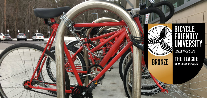 bronze bike lock