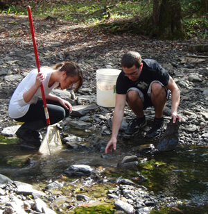 Hoxie_Gorge_creek_WEB.jpg