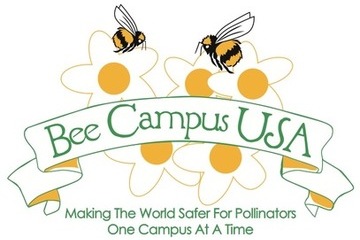 Bee campus 360240.jpg