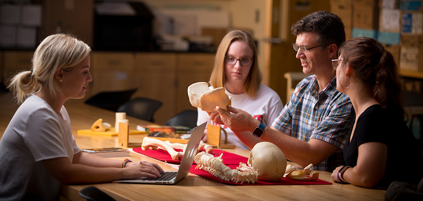 Anthropology students study a skeleton with their professor
