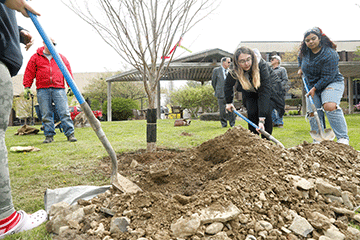 Arbor_Day_2023_WEB.gif