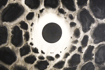 Black_Sun_detail_WEB.gif